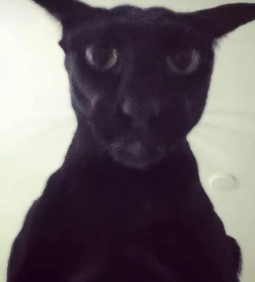 picture of evil larry